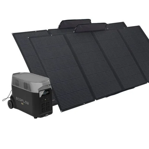 Ecoflow Delta Pro + 2 Paneles solares 400 W